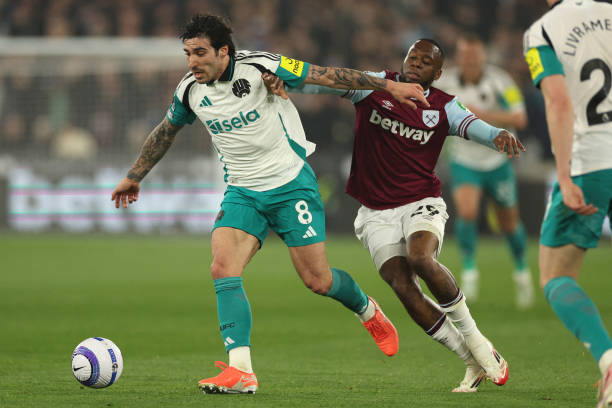 这些计划不 这些计划不